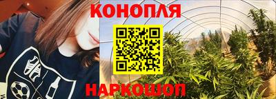 молекула духа Нальчик