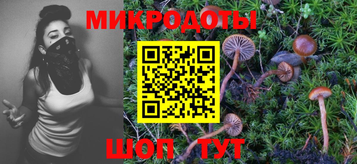 Галлюциногенные грибы прущие грибы  Вход с VPN  Псилоцибиновые грибы прущие грибы  Таганрог 