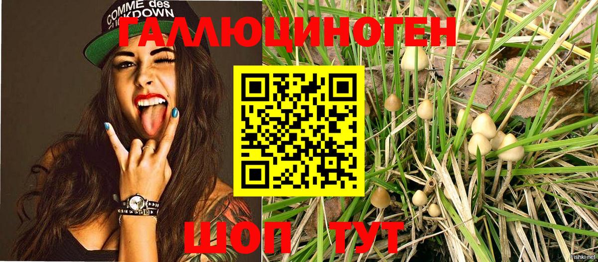 Псилоцибиновые грибы MAGIC MUSHROOMS Таганрог